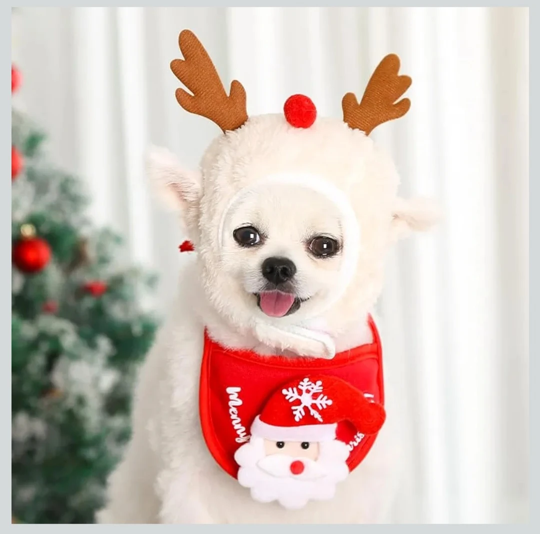 New Christmas Dog Costume
