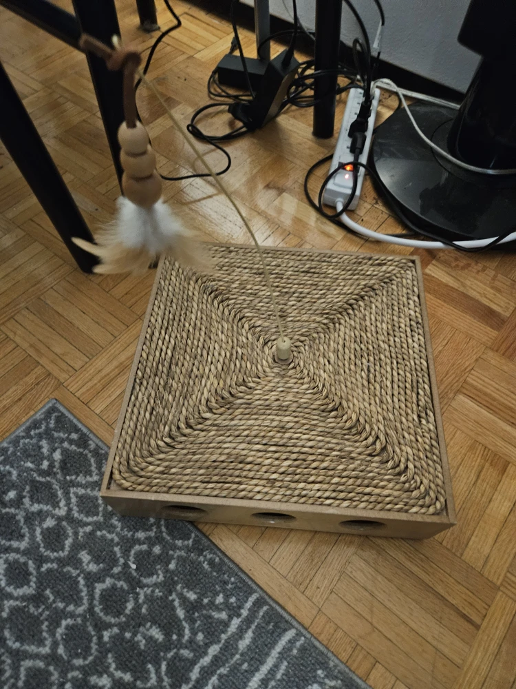 Cat Toy with Feather Teaser