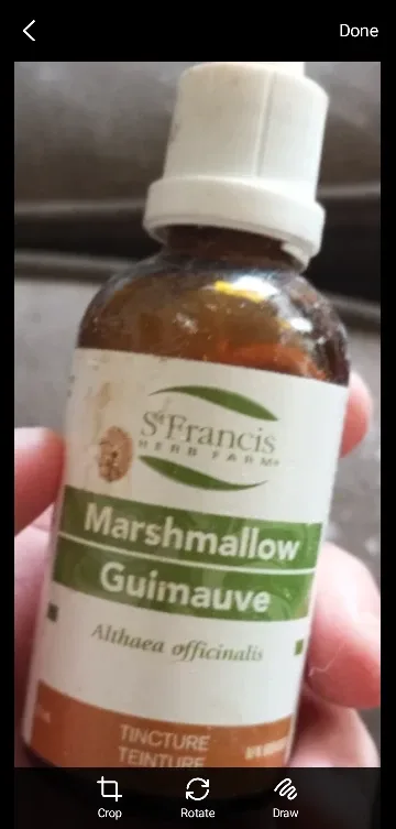 Marshmallow Guimauve Tincture