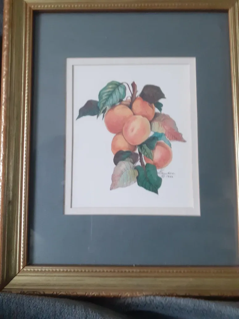 Framed Art Print Set image indicator(3)