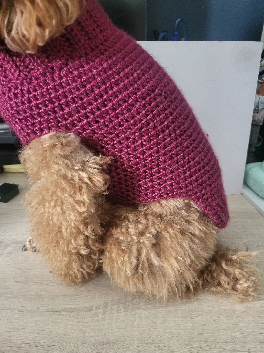 Dog Sweater - Burgundy thumbnail