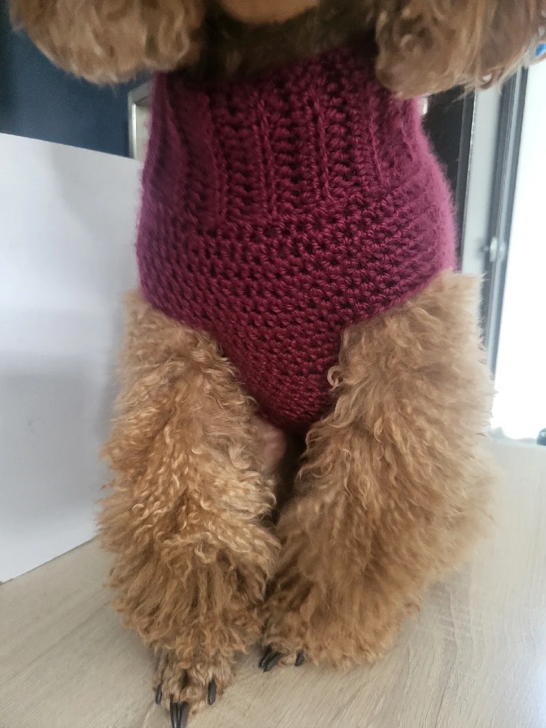 Dog Sweater - Burgundy image indicator(2)