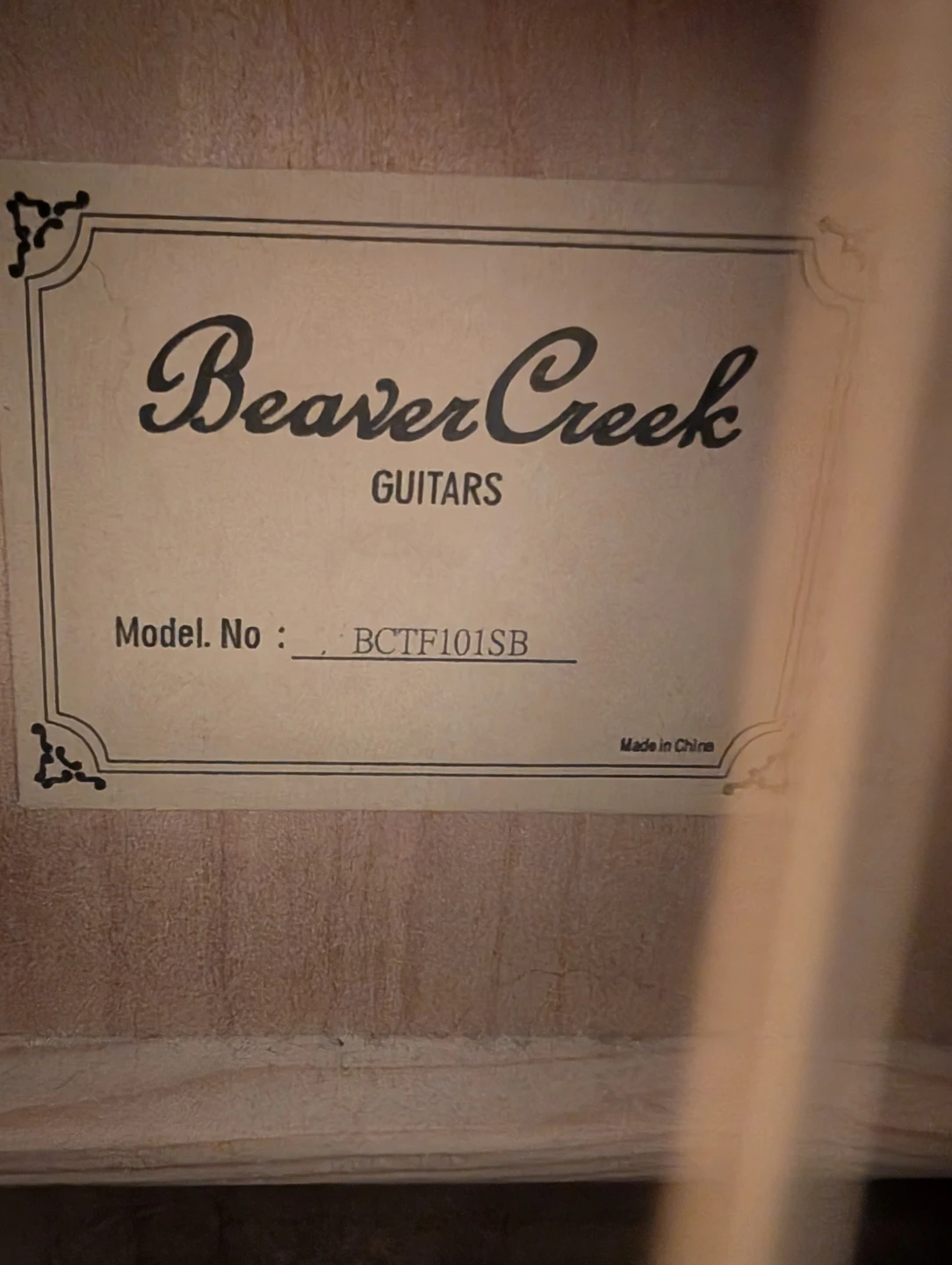 Beaver Creek BCTF101SB Guitar with Levy's Gig Bag - photo 2