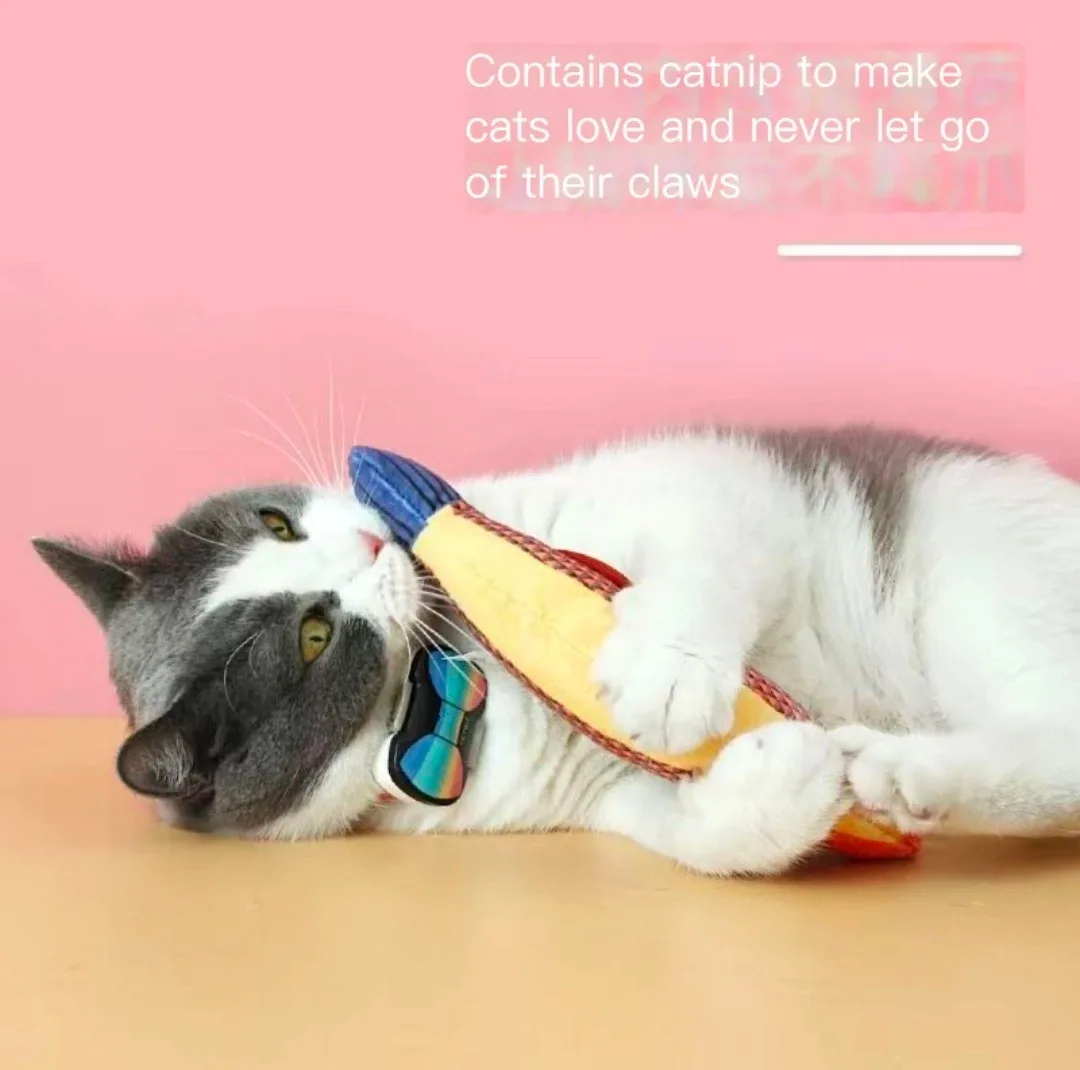 catnip toy image indicator(4)