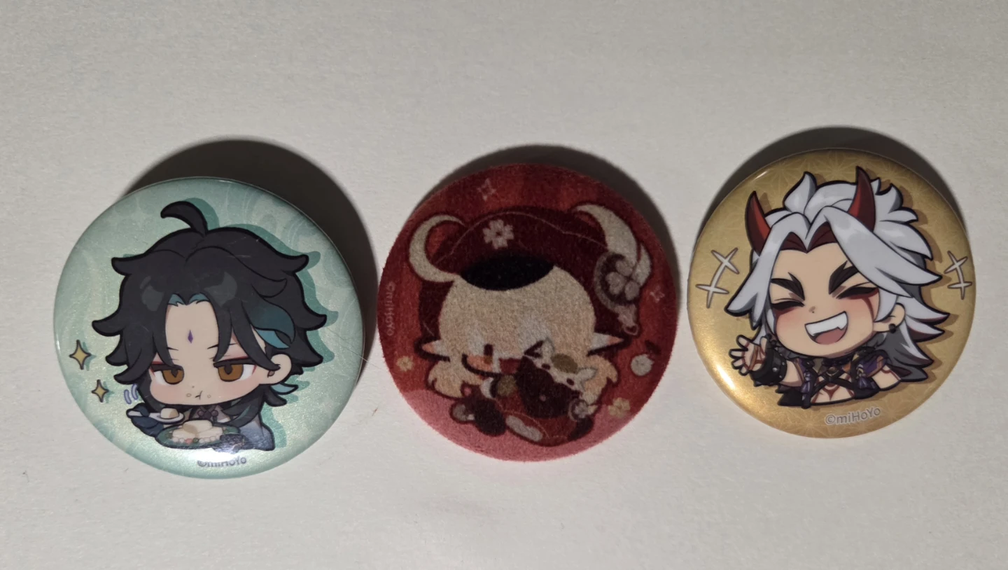 Genshin Pins + Standee (OFFICIAL) - photo 3