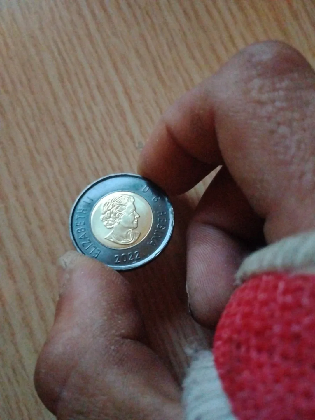 2022 uncirculated commemorative "black toonies" image indicator(2)