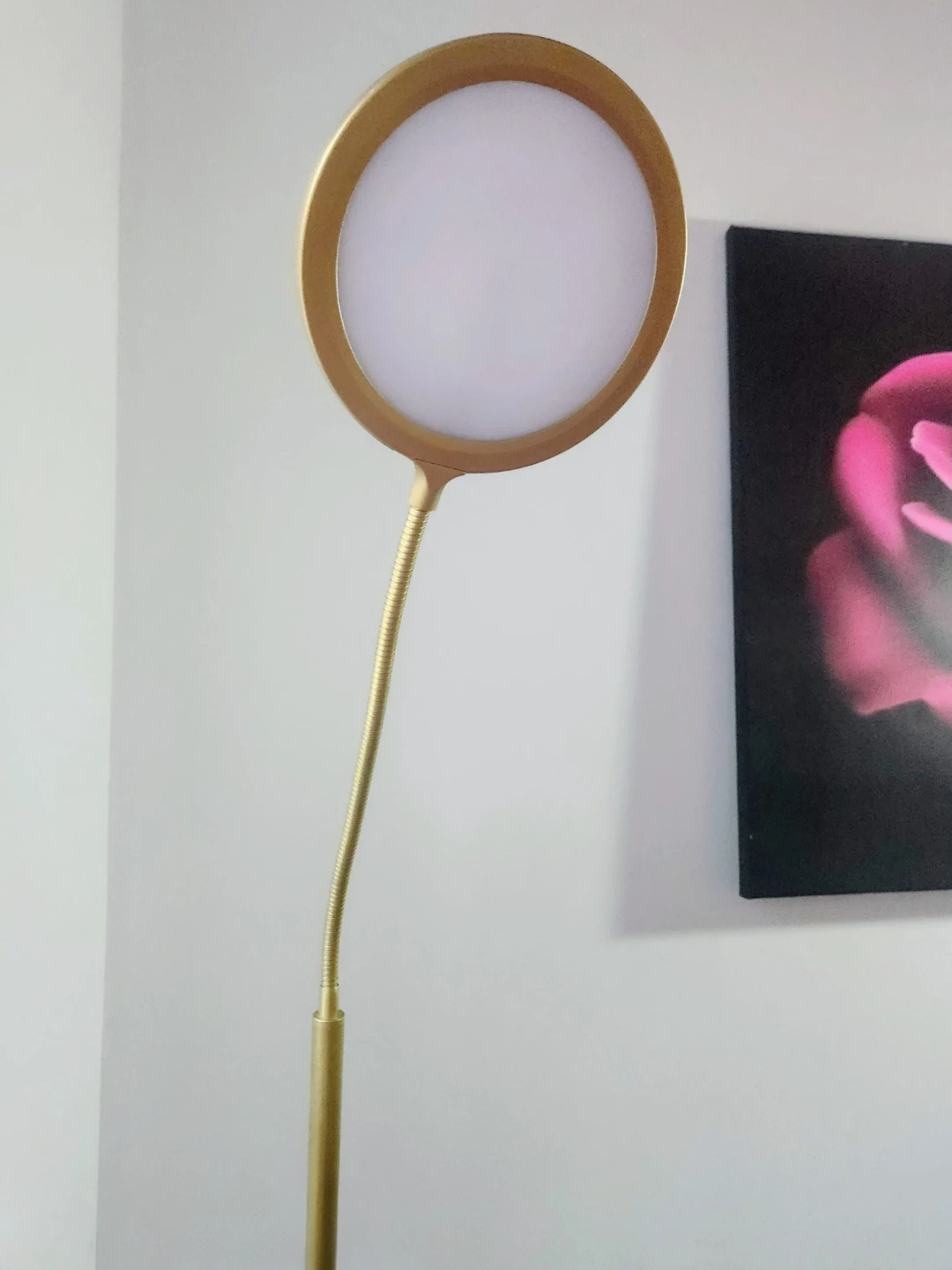 Gold LED Floor Lamp