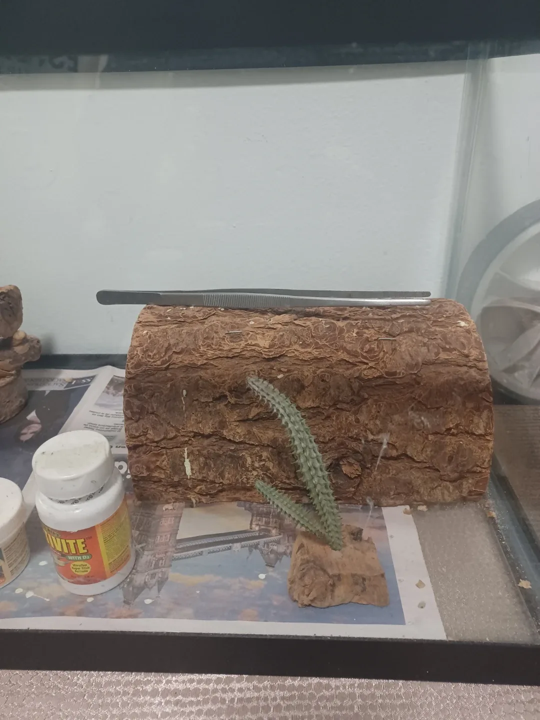 Reptile Habitat Accessories image indicator(2)