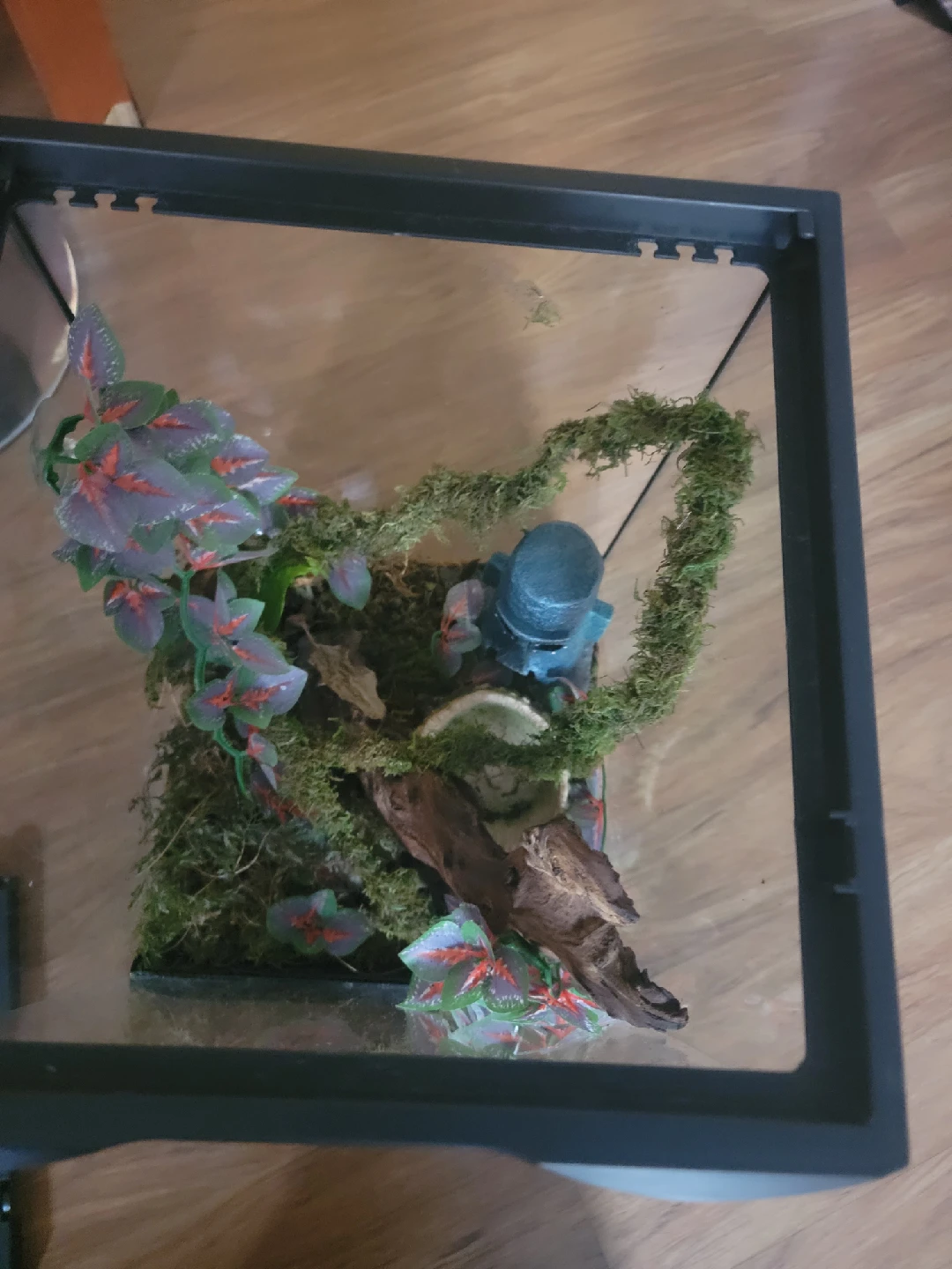 Terrarium with decor - photo 3