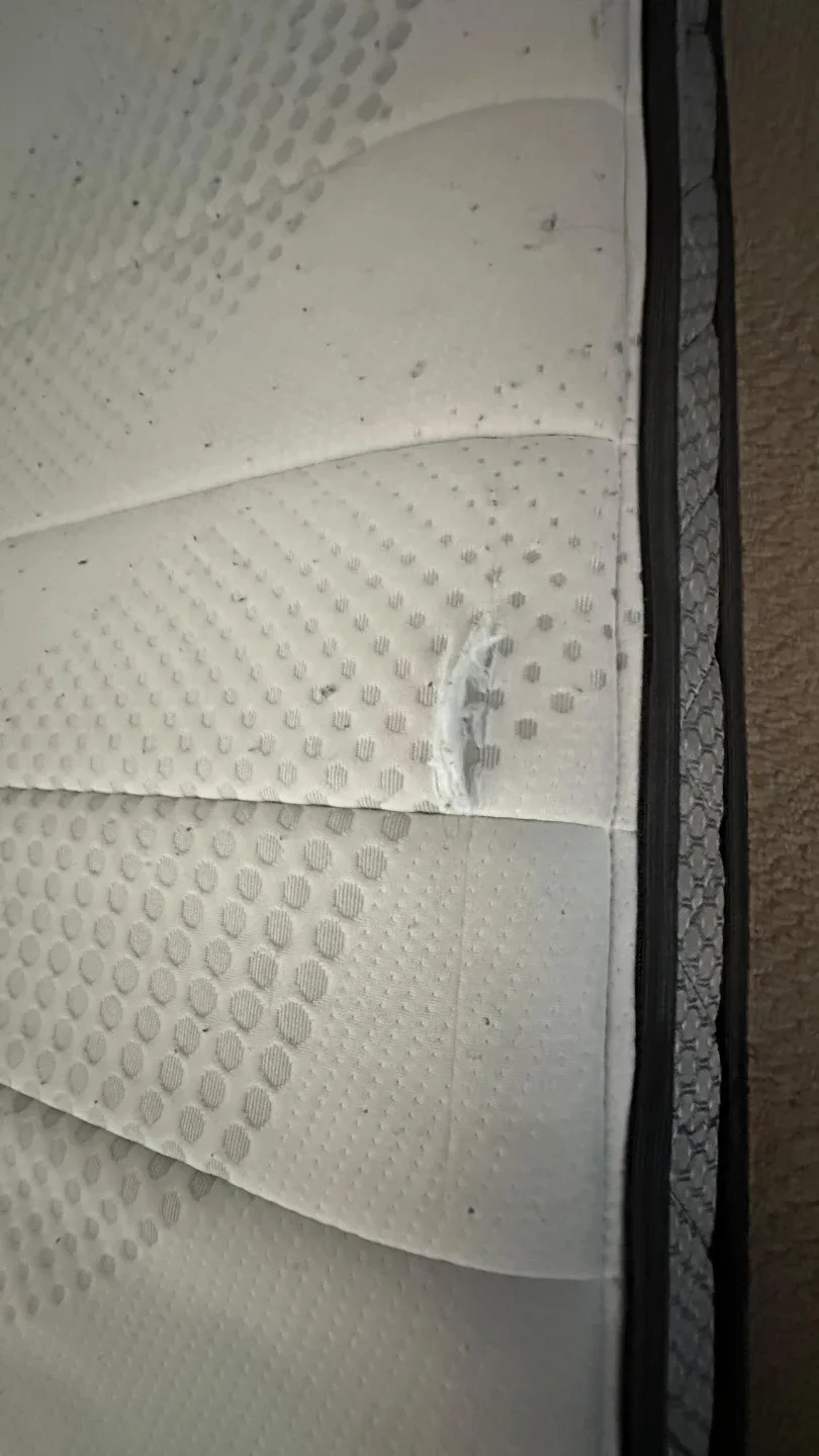 Springwall Full/double Mattress image indicator(3)