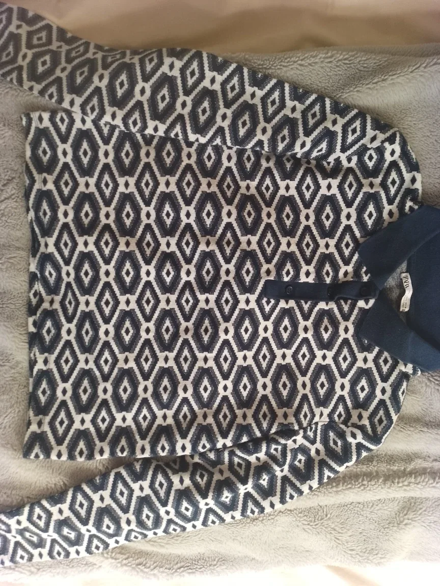 Zara cropped sweater