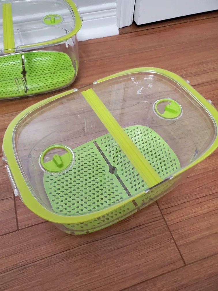 Fresh fruit and veggie containers image indicator(2)