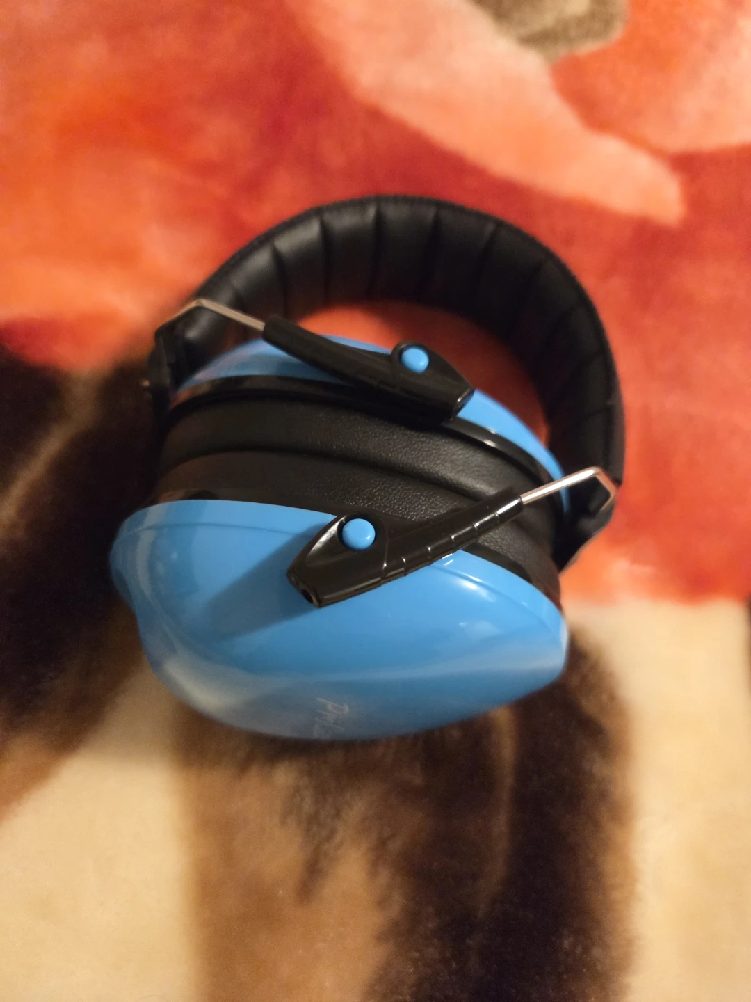 Kids Earmuffs - Blue