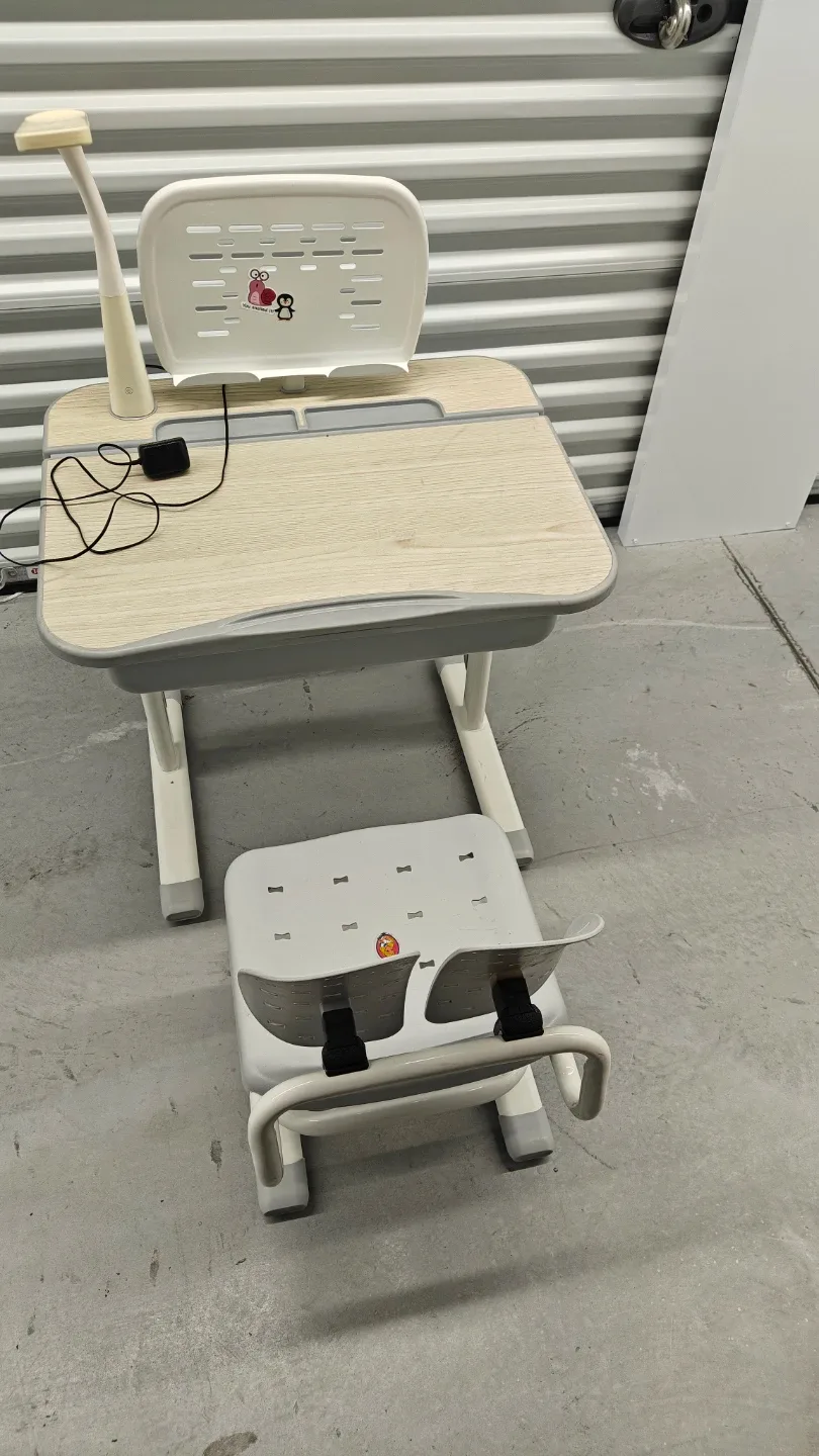 Kids Adjustable Desk and Chair Set