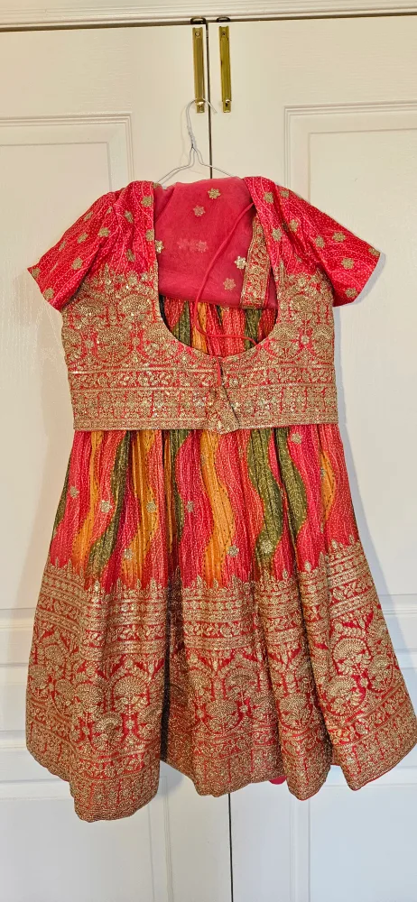 Indian Lehenga Choli Dress image indicator(2)