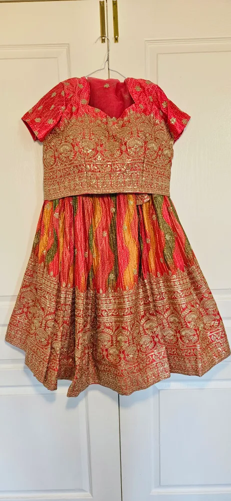 Indian Lehenga Choli Dress image indicator(3)