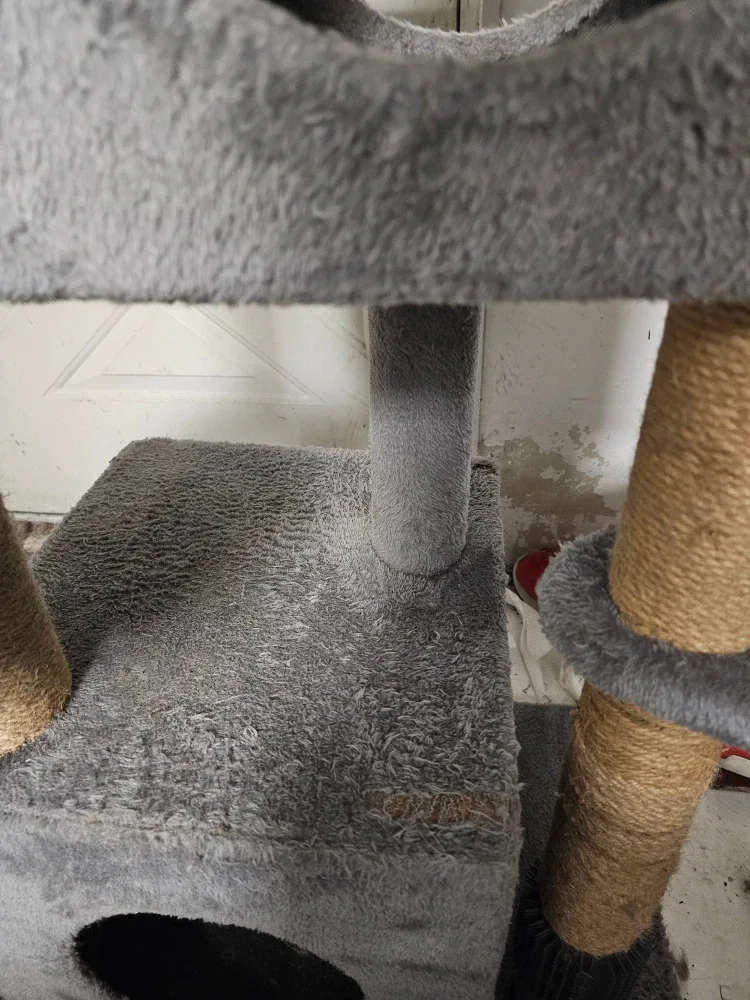 Used Grey Cat Tree with Scratching Posts image indicator(2)