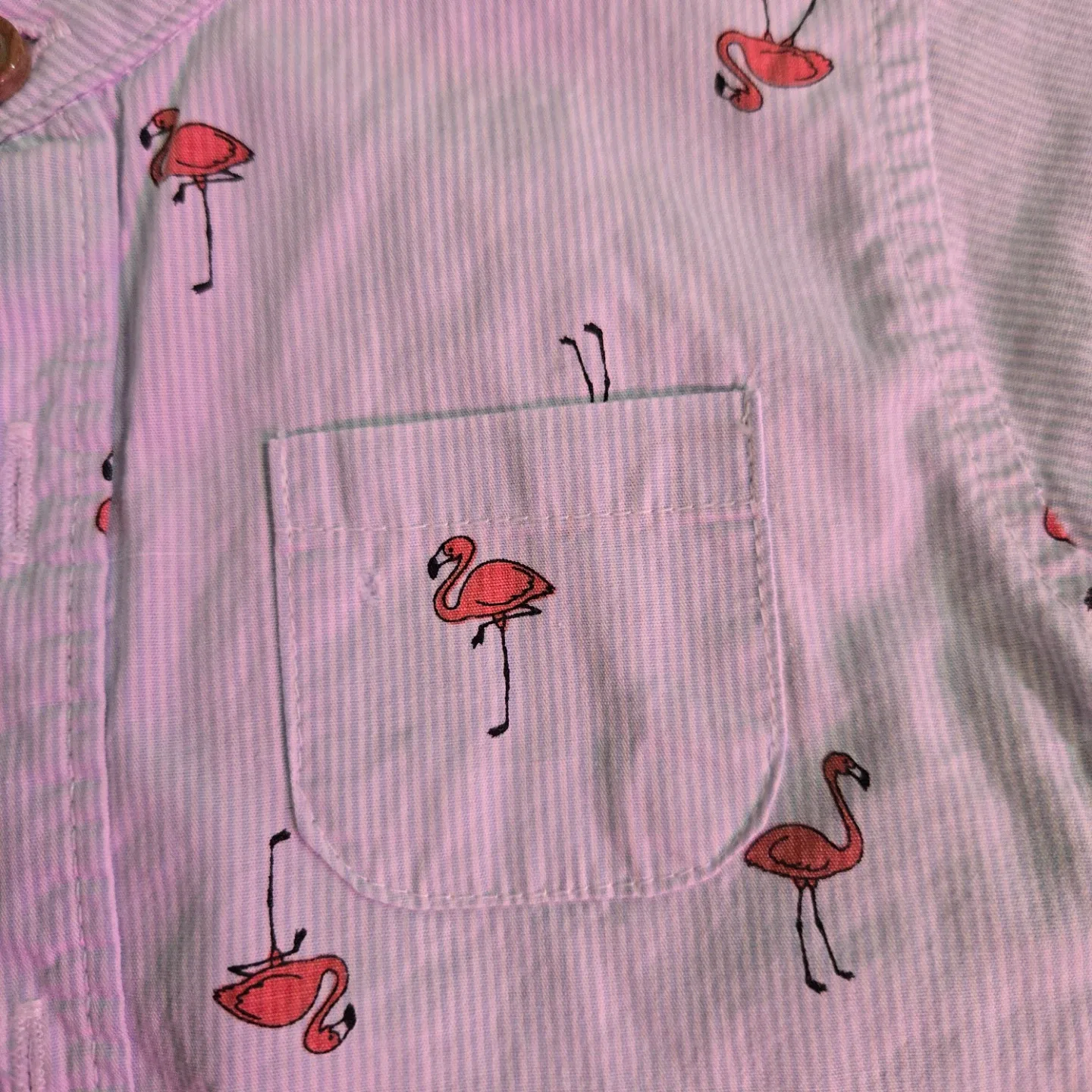 Toddler Boys 24m Flamingo Dress Shirt image indicator(4)