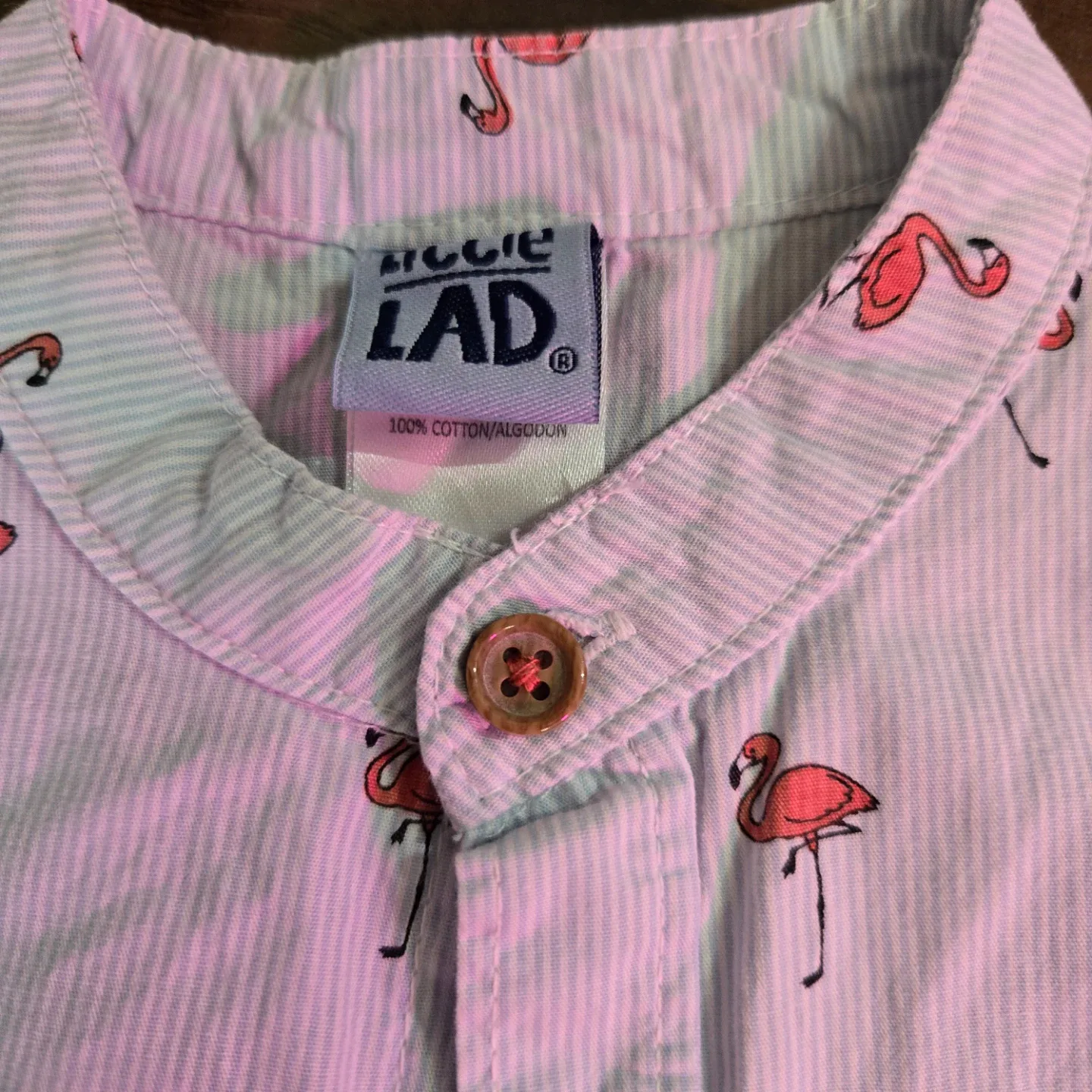 Toddler Boys 24m Flamingo Dress Shirt image indicator(5)