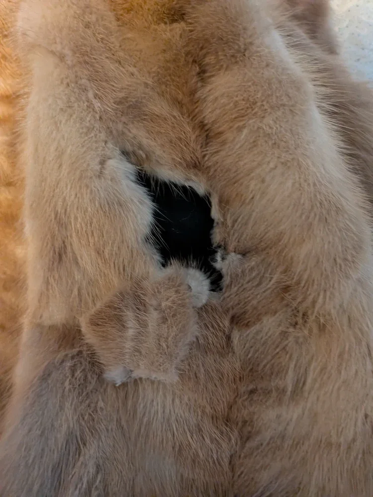 Lister Furs Mink Fur Coat - Edmonton Price Negotiable image indicator(6)