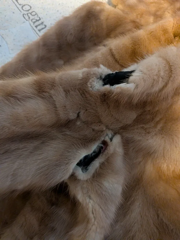 Lister Furs Mink Fur Coat - Edmonton Price Negotiable image indicator(7)