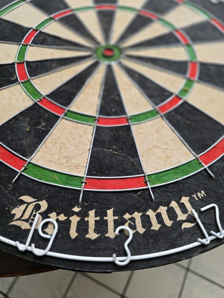 Brittany Dart Board 🥕 - photo 3