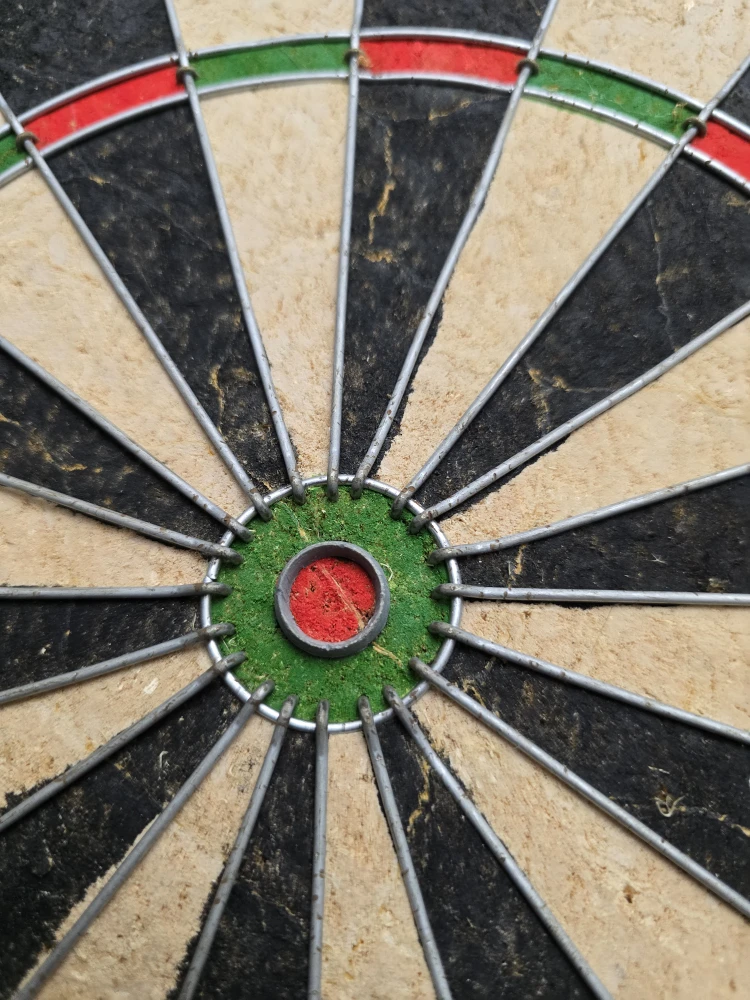 Brittany Dart Board 🥕 - photo 5