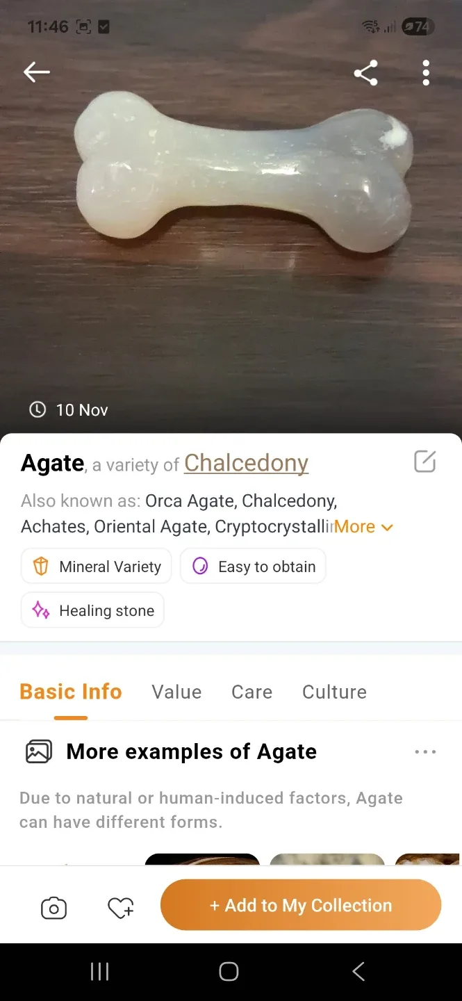 Agate Bone image indicator(2)