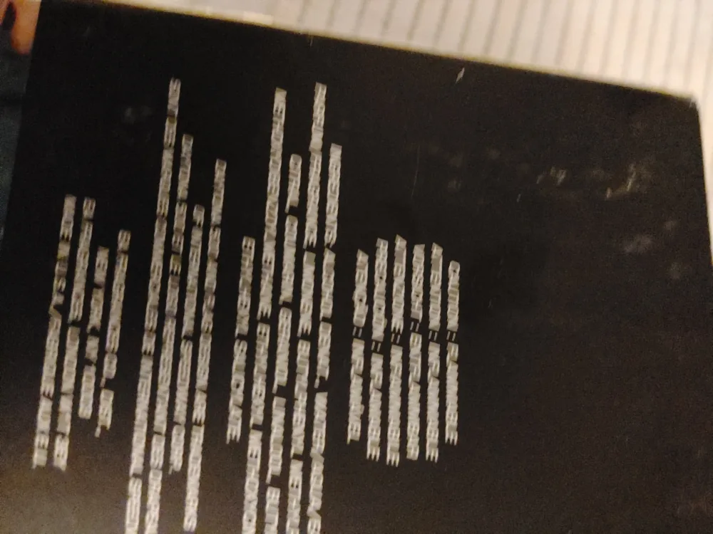 Daytona 500 1.7 FL OZ / 50 ml e image indicator(3)