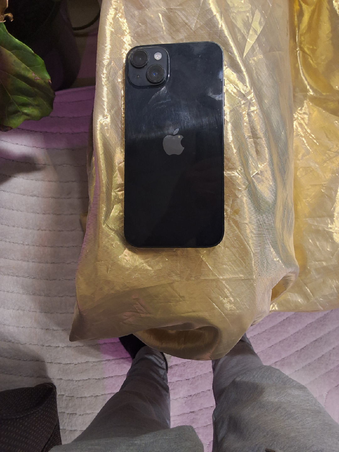 iPhone 14 - photo 2