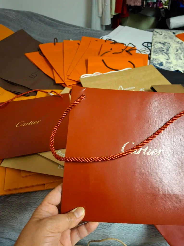 Luxury Brand Shopping Bags: LV, Hermes, Louboutin image indicator(3)