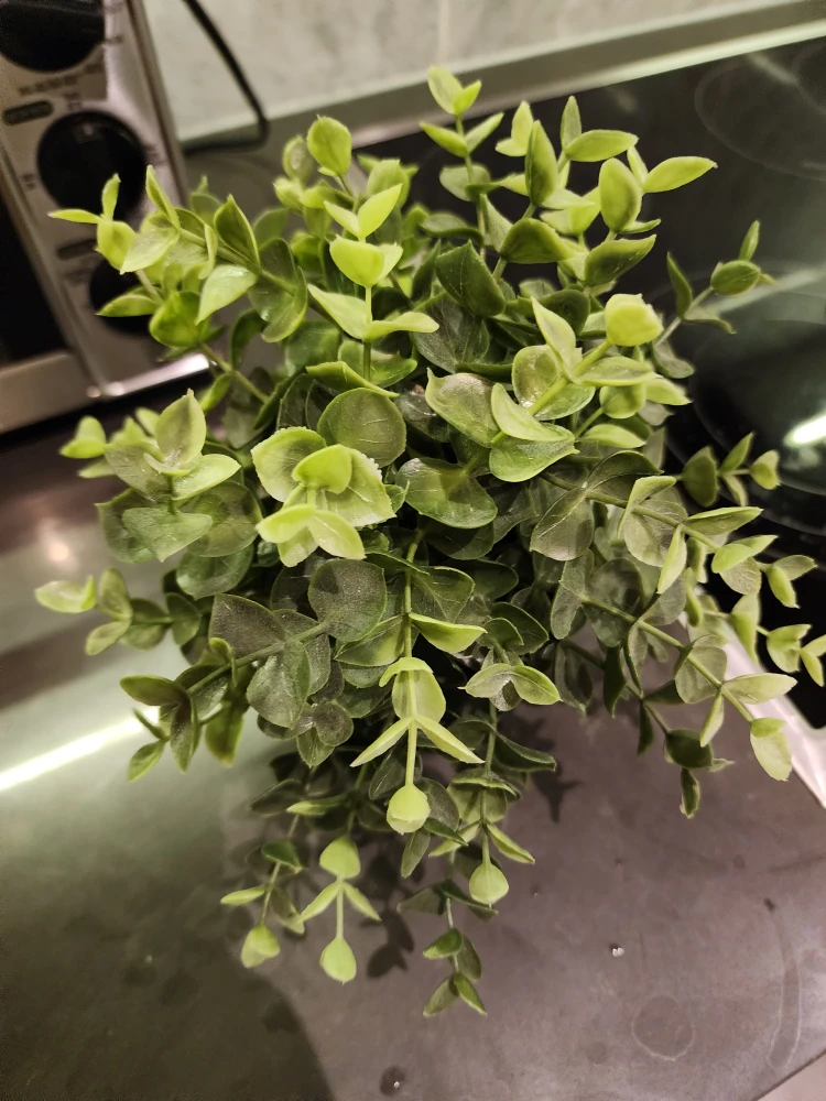 Artificial/Fake Potted Plant