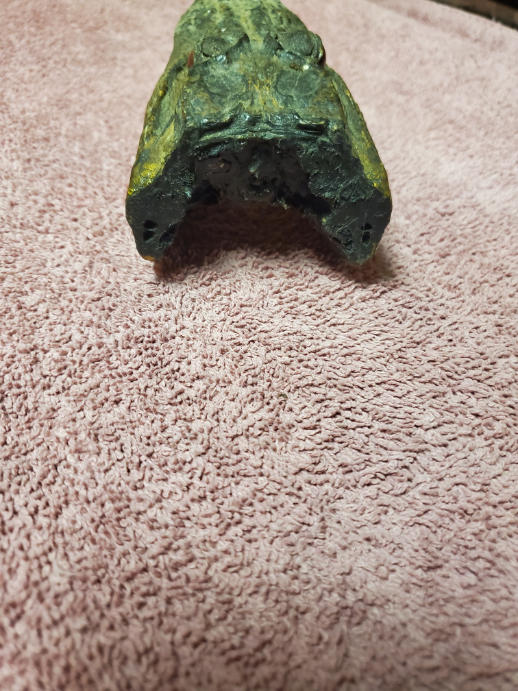 Alligator Head Taxidermy - Unique Decor - photo 2