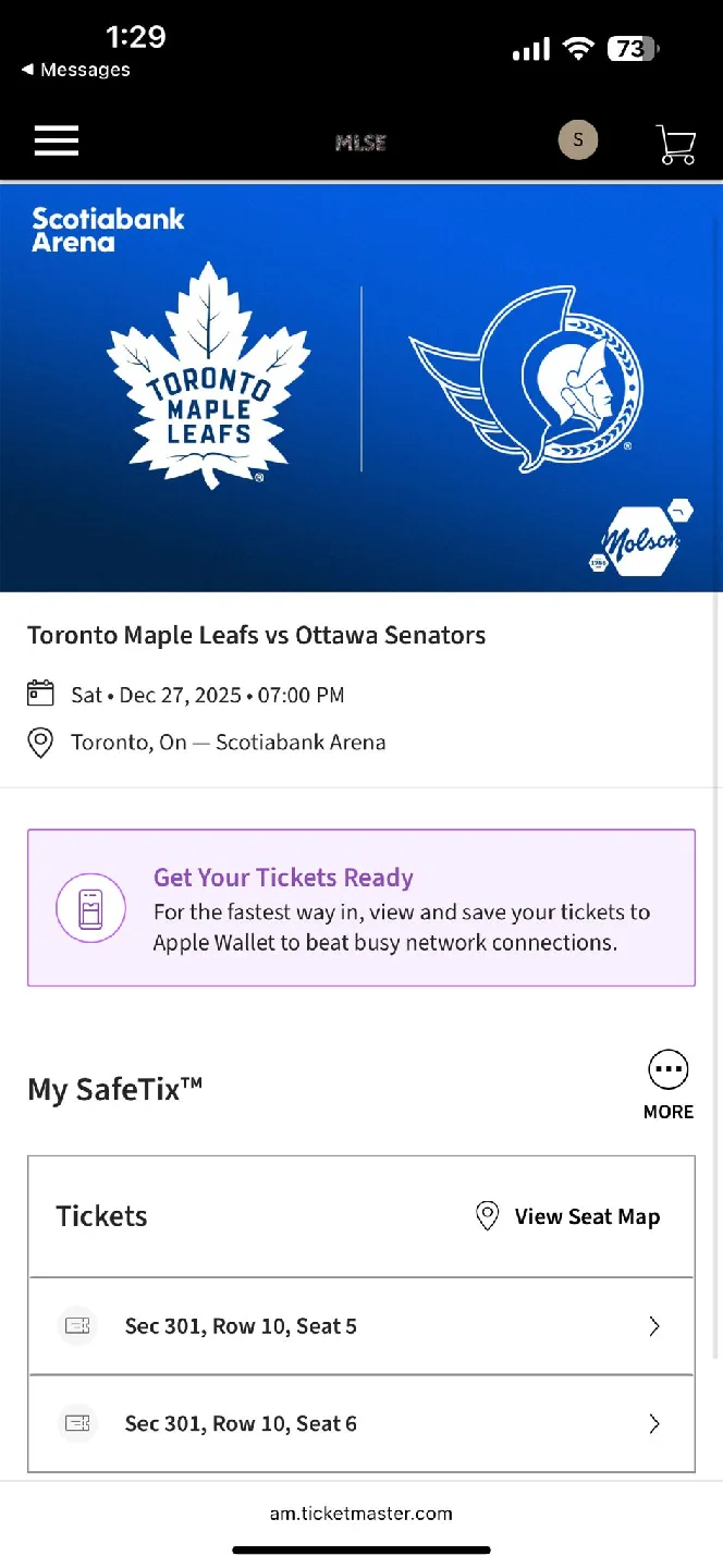 2 tickets for Toronto Maple Leafs