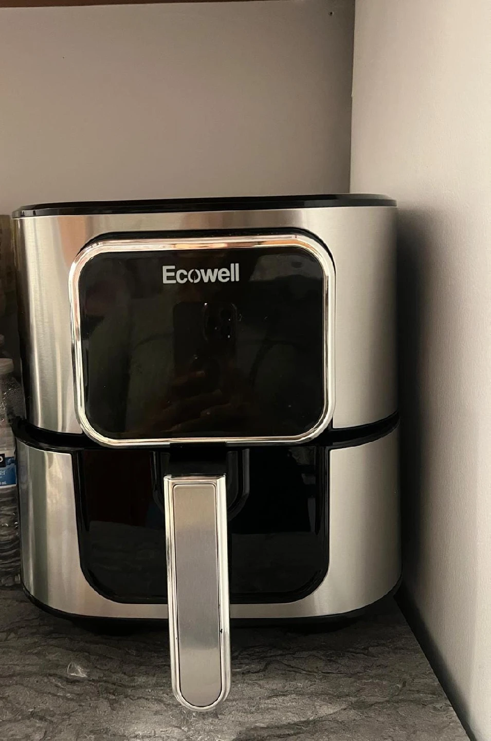Ecowell Air Fryer 🥕 I am in. Day 4
