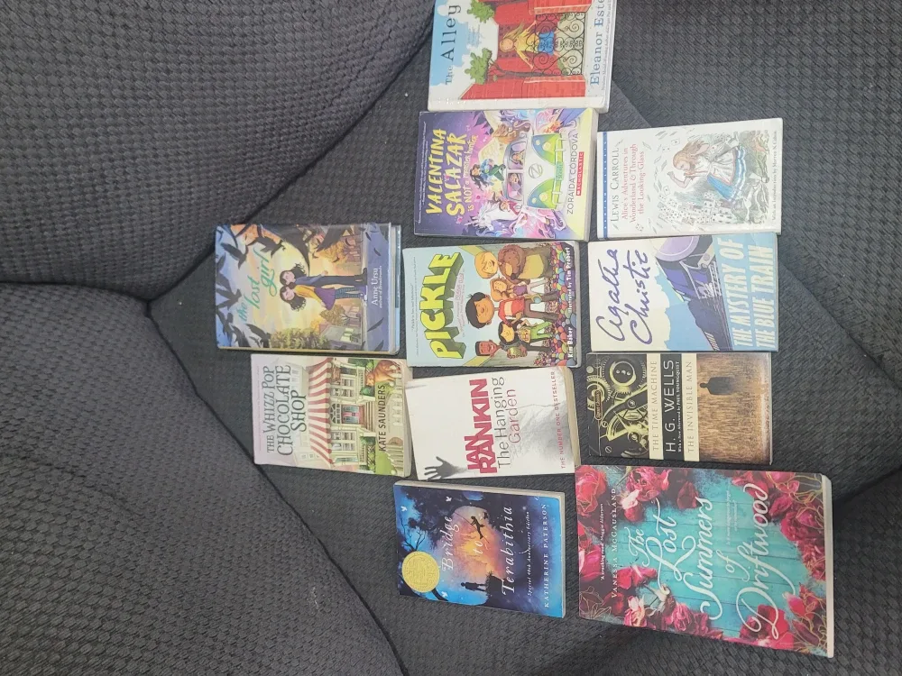 Kids' Chapter Books Bundle image indicator(2)