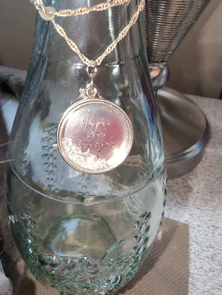 Silver Crescent Moon Necklace