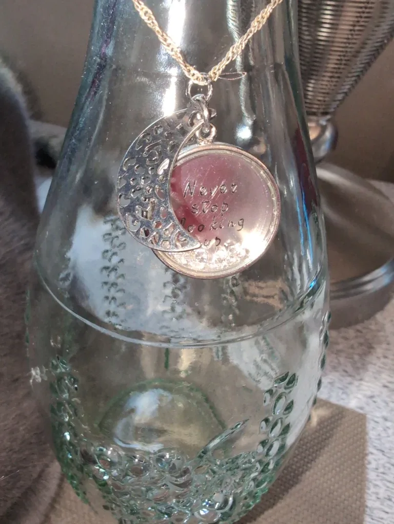 Silver Crescent Moon Necklace image indicator(2)