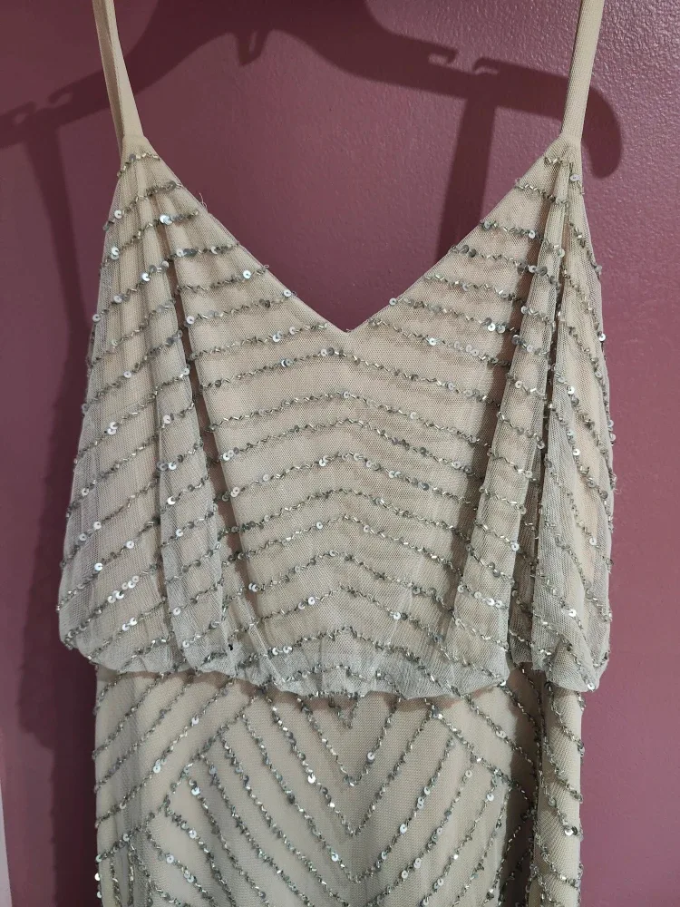 Adrianna Papell long beaded gown image indicator(3)