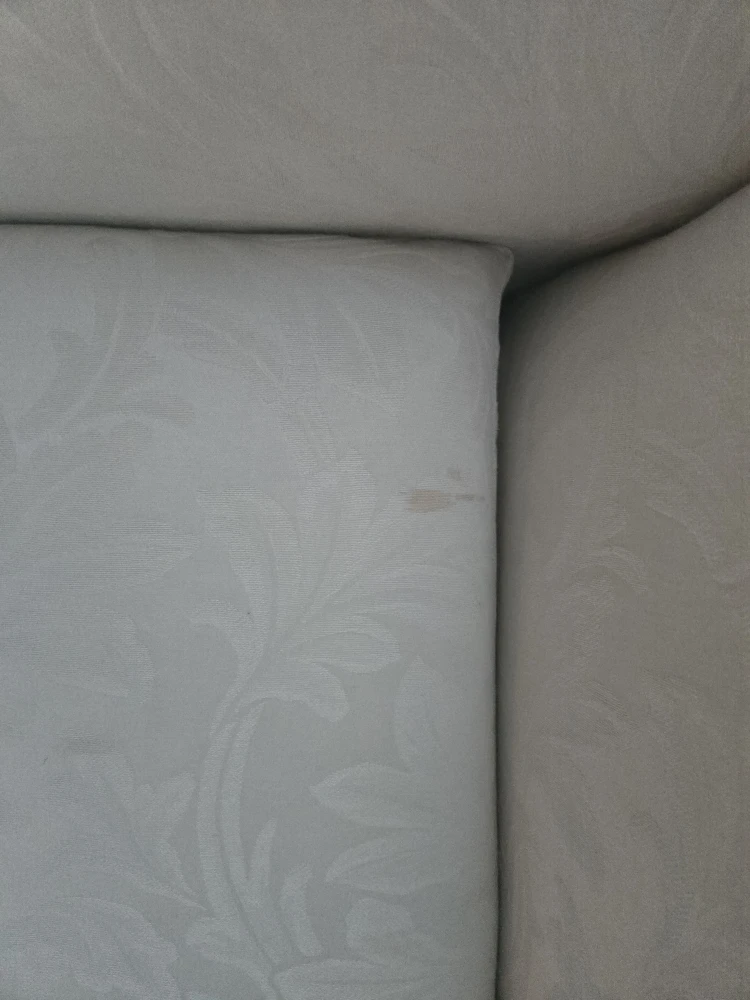 Sklar Peppler Couch - photo 4