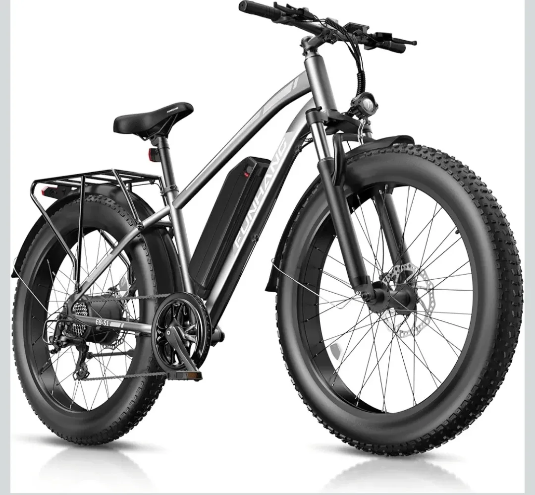 Electric Bike,1000W Peak Ebike,  48V 13AH Battery