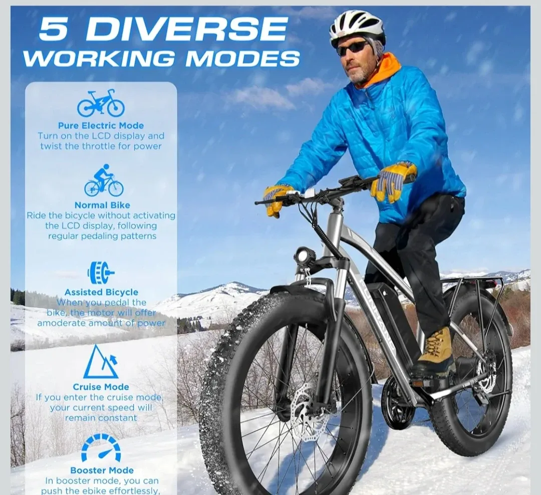 Electric Bike,1000W Peak Ebike,  48V 13AH Battery image indicator(6)