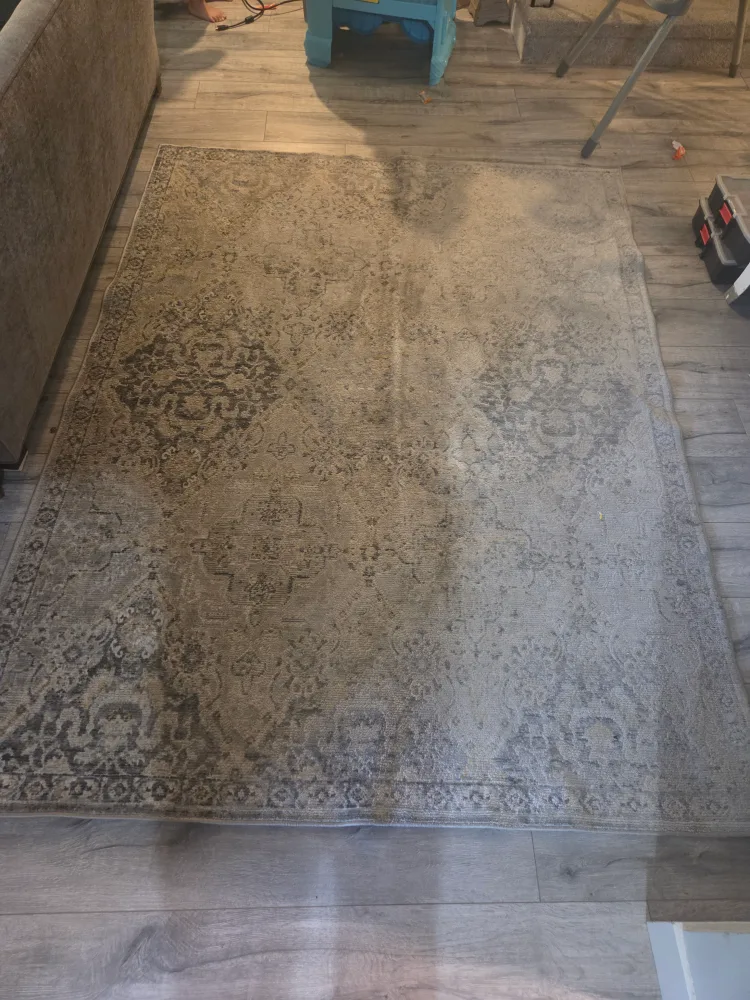 Area Rug image indicator(2)