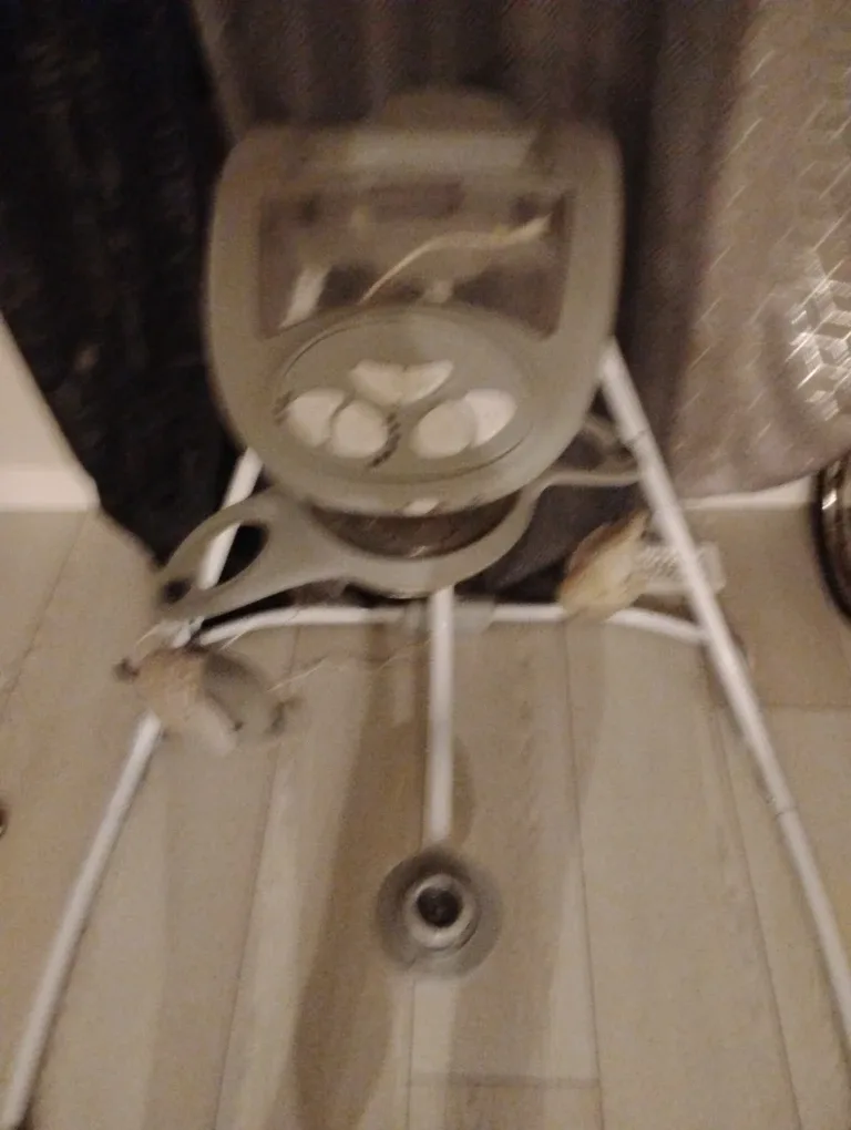 Baby Swing with Mobile image indicator(6)