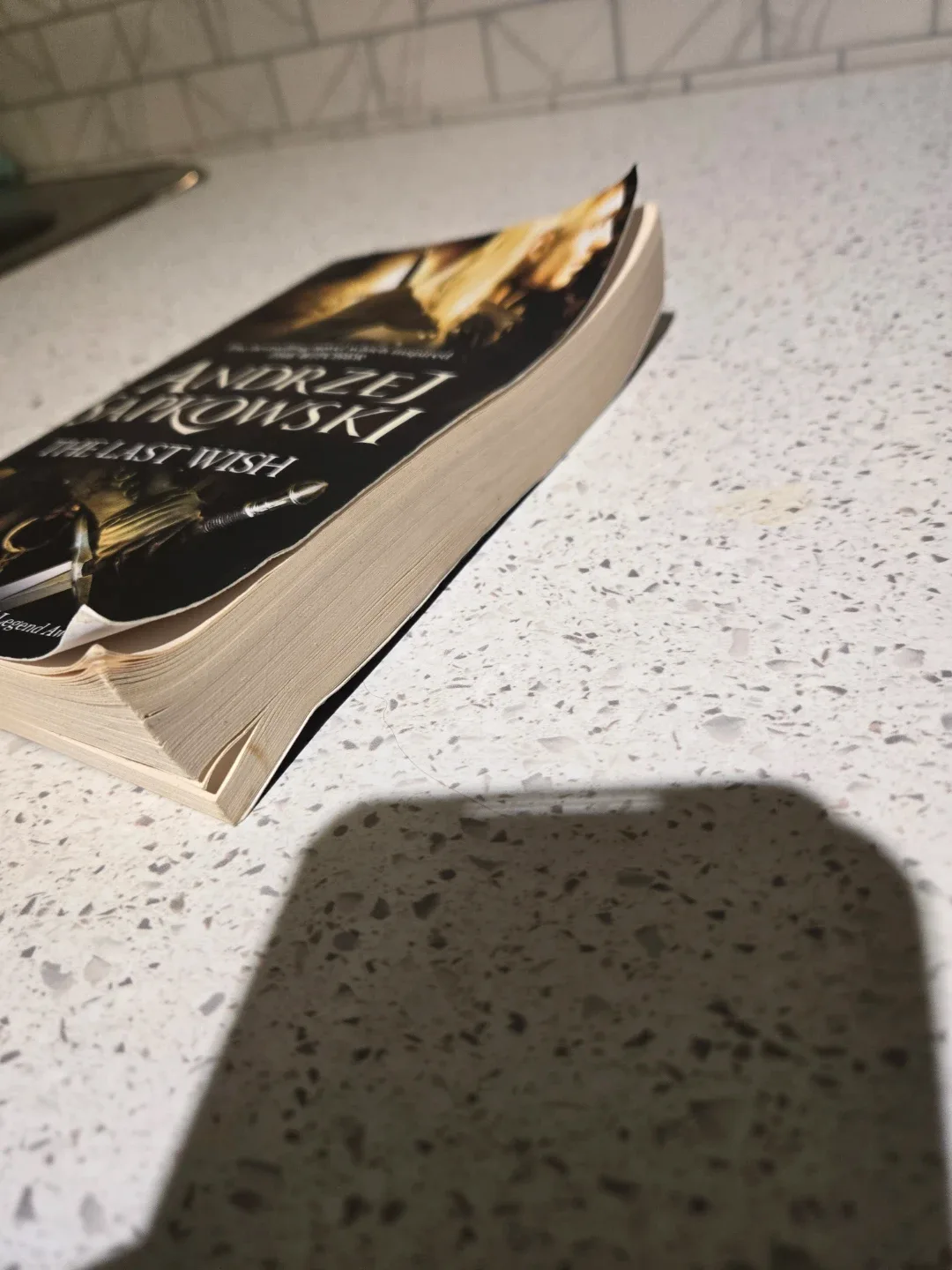 The Last Wish by Andrzej Sapkowski image indicator(2)