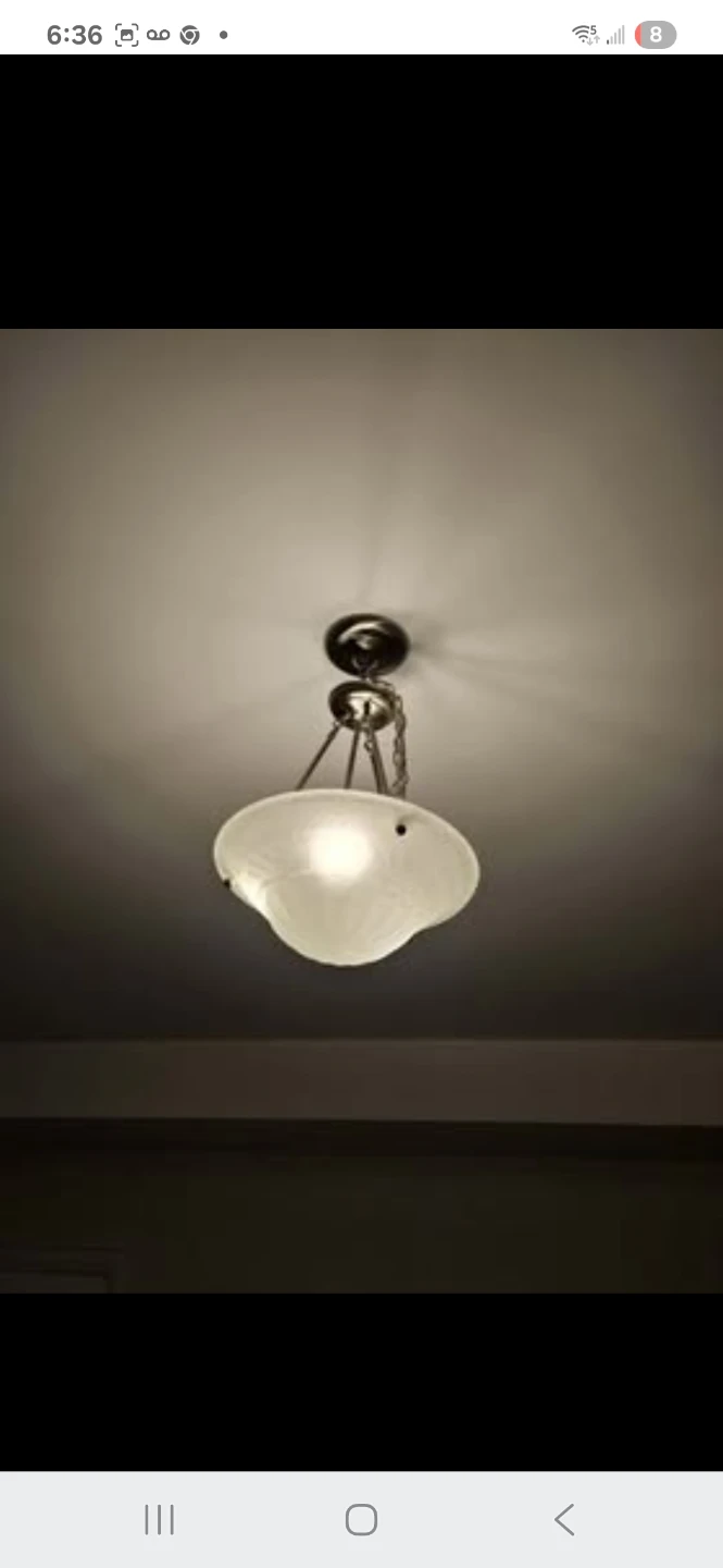 Hanging Ceiling Light Fixture