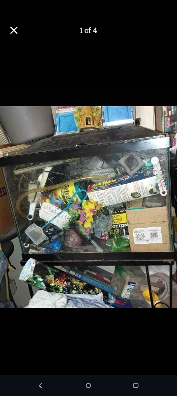 20 Gallon Fish tank with stand and all supplies - photo 2