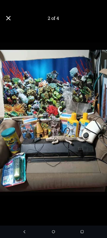 20 Gallon Fish tank with stand and all supplies - photo 3