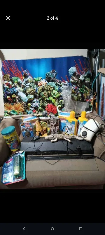 20 gallon 24x12 glass Fish Tank with Marineland LED Light Hood image indicator(2)