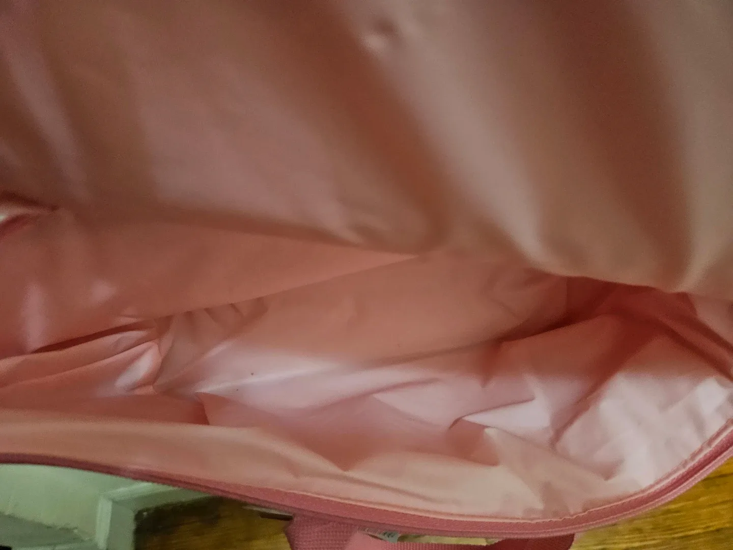 Trader Joe's mini peach cooler bag. image indicator(2)